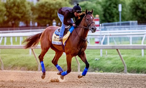 2023 Preakness Stakes morning.